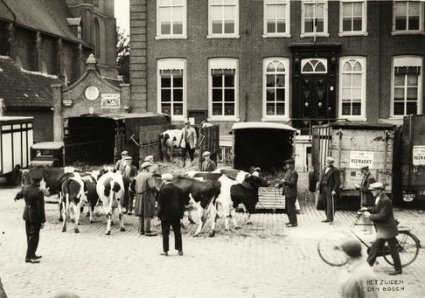 Foto: Fotopersbureau Het Zuiden. Bron: collectie West-Brabants Archief