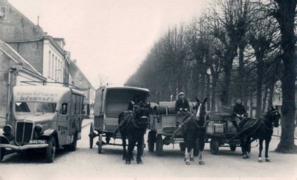 Het wagenpark van brouwerij Cambrinus (Collectie K. van Poppel)