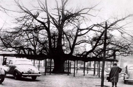 Foto: collectie Regionaal Archief Tilburg