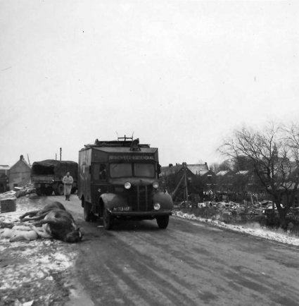 Austin (foto: Jan Sturm. Bron: collectie West-Brabants Archief)