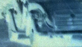 Detail van foto 1, negatief