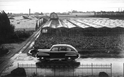 Ford V8 in het Westland (collectie W. Koch)