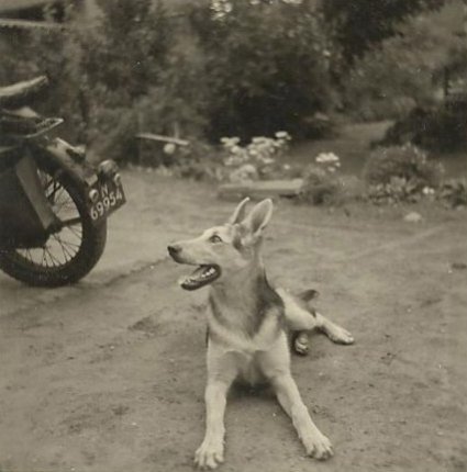 Matchless 350 (collectie A. Baeten)
