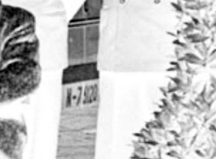 Detail (negatief) van foto 1