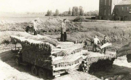 Bron: collectie W. v. Gils