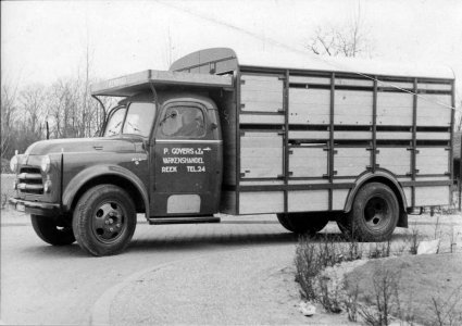Dodge (Bron: BHIC, Beeldcollectie Ton Cruijsen)