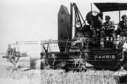 Massey Harris (Beeldbank Dinteloord)