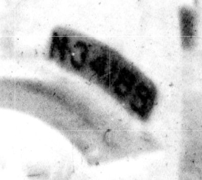 Douglas (coll. hkk 'De Baronie van Cranendonck')