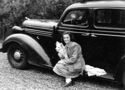 Dodge (coll. fam. Looijmans)