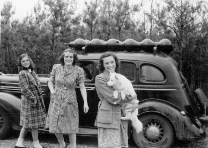 Dodge (coll. fam. Looijmans)