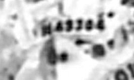 Bron: coll. H. Martens