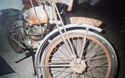 Batavus (coll. T. v. Duren)