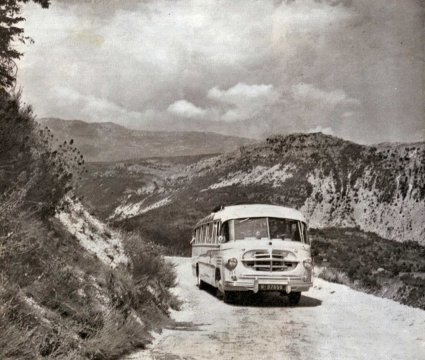 DAF (collectie Conam)
