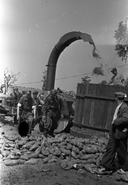 N-84888 Foto: Fotopersbureau Het Zuiden. Bron: BHIC