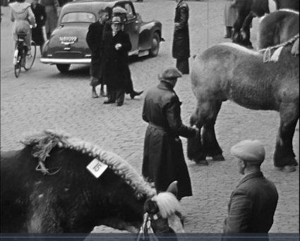 Vauxhall (bron: ZLM-journaal 1951 dl. 1; Zeeuws Archief)