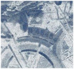 Detail (negatief) van foto 1