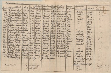 Bron: BHIC, Archief Militair Gezag, inv. nr. 519 scan 465