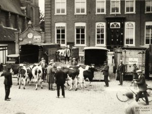 Foto: Fotopersbureau Het Zuiden. Bron: collectie West-Brabants Archief