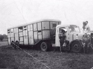Mercedes truck met oplegger (collectie M. Hack-Sol)