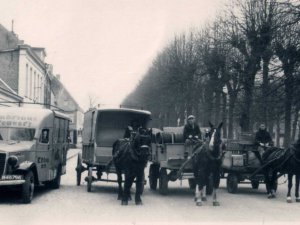 Het wagenpark van brouwerij Cambrinus (Collectie K. van Poppel)