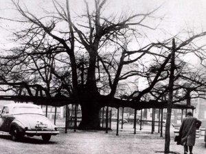 Foto: collectie Regionaal Archief Tilburg