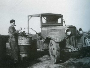 Bron: 1896-1996 : 100 Jaar R.K. Boerenbond Veldhoven