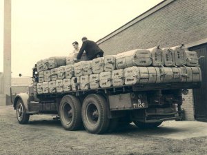 Foto: Schmidlin. Bron: collectie Regionaal Archief Tilburg