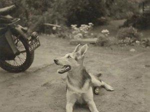 Matchless 350 (collectie A. Baeten)
