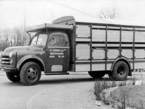 Dodge (Bron: BHIC, Beeldcollectie Ton Cruijsen)