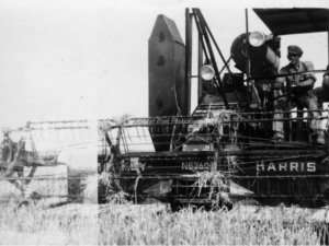 Massey Harris (Beeldbank Dinteloord)