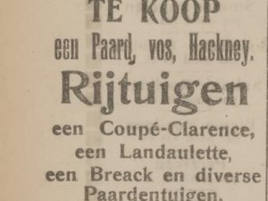 Bron: Het Huisgezin, 12-03-1920