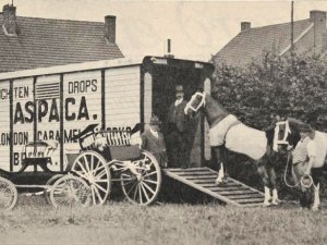Bron: Paard en paardenwereld van 20 augustus 1931