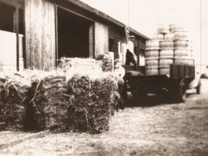 Bron: Regionaal Historisch Centrum Eindhoven