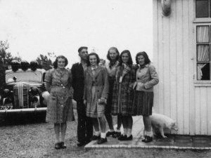Dodge (coll. fam. Looijmans)