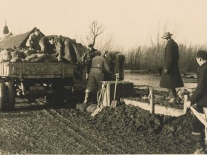 Foto: Jan Sturm (coll. West-Brabants Archief)
