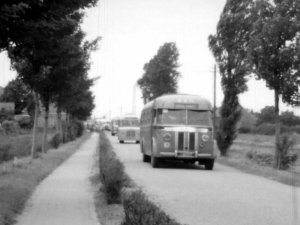 Guy (bron: ZLM-journaal 1950 en 1951 dl. 2; Zeeuws Archief)