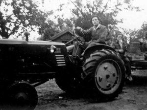 Kersenpluk, ca. 1947-1948 (coll. BHIC)