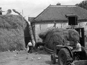 Deering (foto: D. Scholte; coll. Stadsarchief Oss)