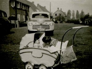 Bron: coll. M. de Weerd