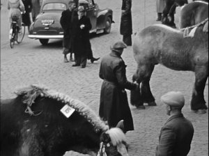 Vauxhall (bron: ZLM-journaal 1951 dl. 1; Zeeuws Archief)