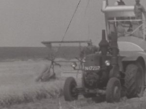 Bron: BrabantinBeelden, film nr. HKKNWVOS-02