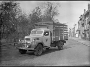 Dodge T110L (Foto: Schmidlin, Tilburg. Bron: collectie Regionaal Archief Tilburg)