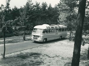 DAF (collectie Werner Pap)