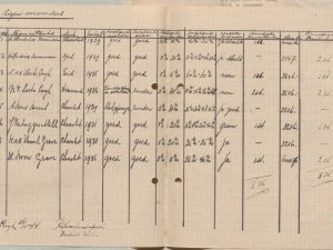 Bron: BHIC, Archief Militair Gezag, inv. nr. 519 scan 466