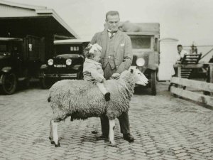 Schapenfokdag in Den Bosch (Foto: Fotopersbureau Het Zuiden. Bron: Erfgoed 's-Hertogenbosch)
