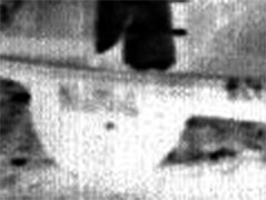 Detail (negatief; collectie Arno Broeders)