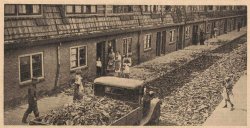 Bron: Nw. Haarl. Courant, 1 aug. 1939