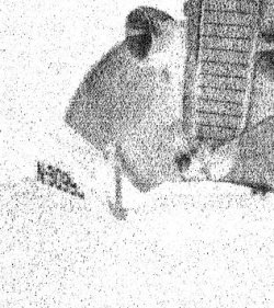 Detail (negatief) van foto 1