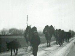 Kamelenkaravaan