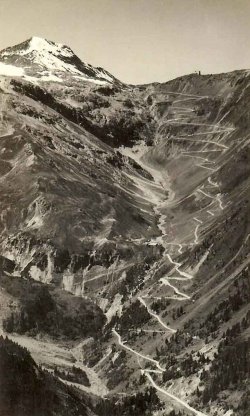 Stelviopas